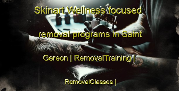 Skinart Wellness-focused removal programs in Saint Gereon | RemovalTraining | RemovalClasses | SkinartTraining-France